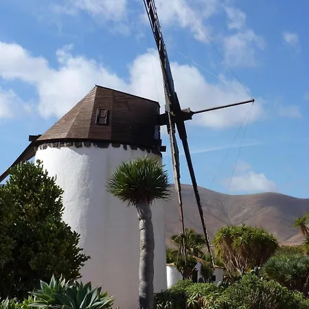 Onix Corralejo
