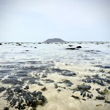 Onix Corralejo